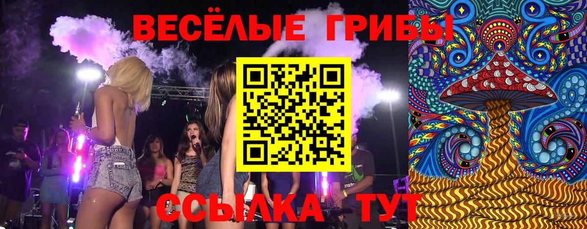 Псилоцибиновые грибы MAGIC MUSHROOMS  Вход с VPN  Галлюциногенные грибы GOLDEN TEACHER  Новороссийск 