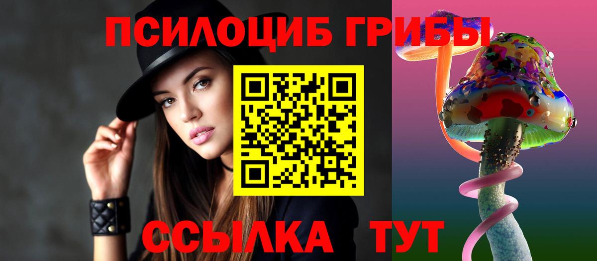 Галлюциногенные грибы Psilocybe Новороссийск